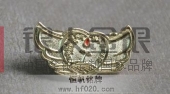 全國抗旱紀(jì)念徽章,防災(zāi)抗災(zāi)紀(jì)念章